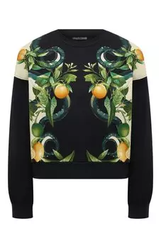 Хлопковый свитшот Roberto Cavalli