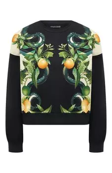 Хлопковый свитшот Roberto Cavalli