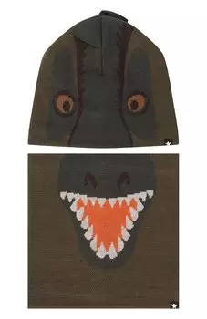 Комплект из шапки и шарфа MOLO