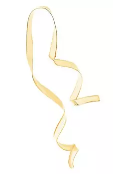 Моносерьга Dries Van Noten