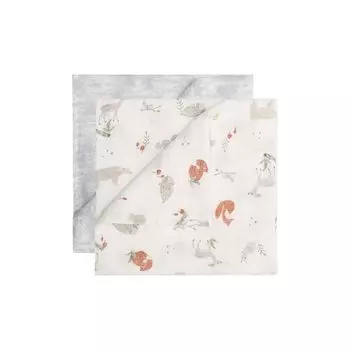 Набор из двух пеленок Aden+Anais