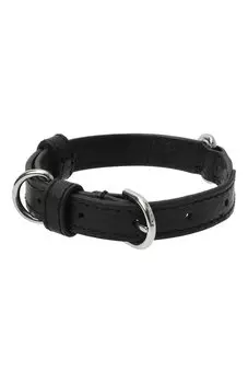 Ошейник для собак Coccinelle