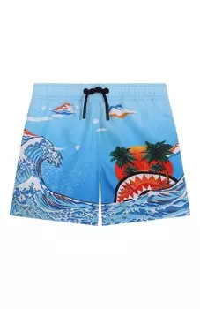 Плавки-шорты Sprayground