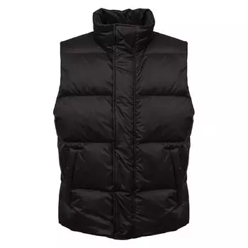 Пуховый жилет Lempelius