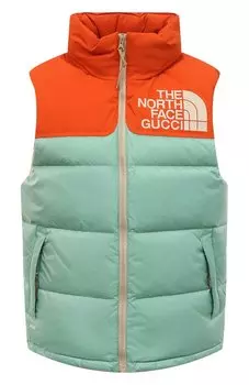 Пуховый жилет The North Face x Gucci Gucci