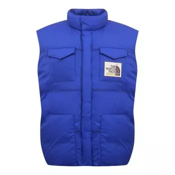Пуховый жилет The North Face x Gucci Gucci