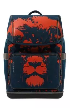 Рюкзак Ergomaxx Jeune Premier