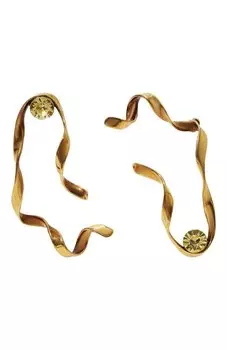 Серьги Dries Van Noten