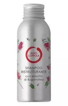Шампунь для поврежденных волос (100ml) Aldo Coppola
