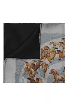 Шелковый платок Stefano Ricci