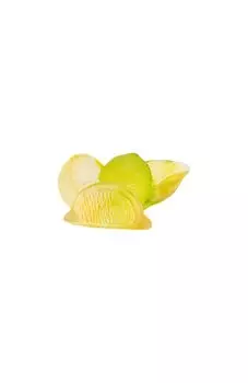 Скульптура Citrus Daum