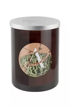 Свеча Agarwood & Musk (900g) Pernici