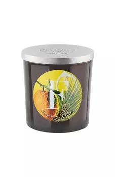 Свеча аромат Citrus Fruits & Vetiver (350g) Pernici