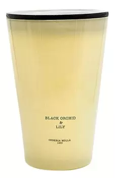 Свеча Black Orchid & Lily (7000g) Cereria Molla 1899