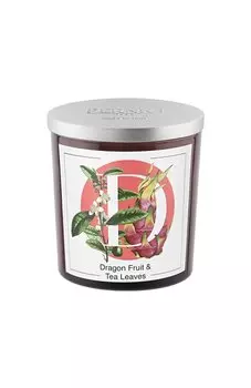 Свеча Dragon fruit & Tea Leaves (350g) Pernici