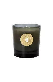 Свеча Hale Bopp (250g) Tiziana Terenzi