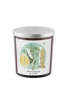 Свеча Mint Leaves & Lime (350g) Pernici