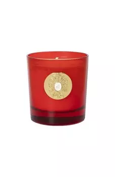Свеча Tuttle (250g) Tiziana Terenzi