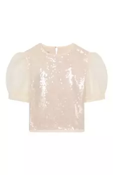 Топ Designers cat