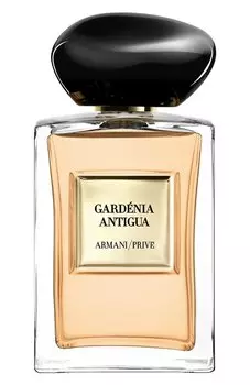 Туалетная вода Gardnia Antigua (100ml) Giorgio Armani