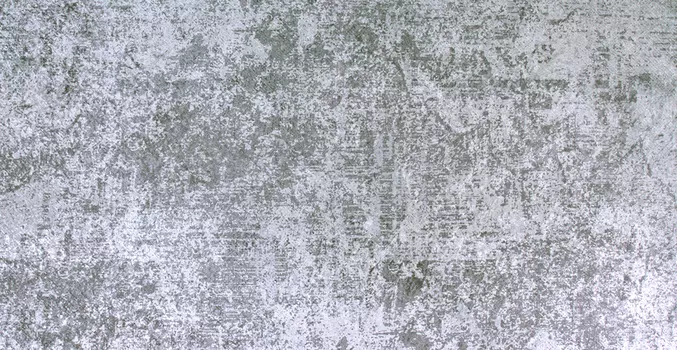 Ковер Цвет Диванов