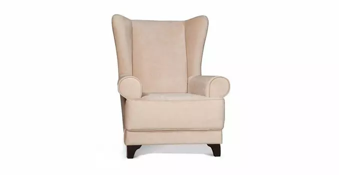 Кресло универсальное Цвет Диванов