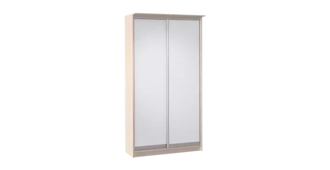 Шкаф-купе двухдверный Цвет Диванов