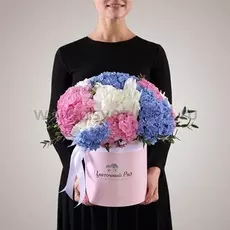 Букет Зефир Бетти