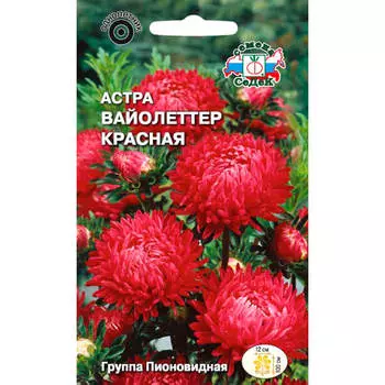 Цветы астра вайолеттер красный пионовидная 0,1г