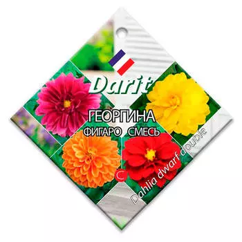 Цветы георгина фигаро смесь 0,3г Darit однолетние