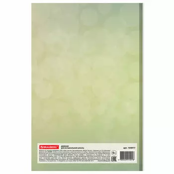 Дневник для музыкальной школы 48л Brauberg корнет 104977