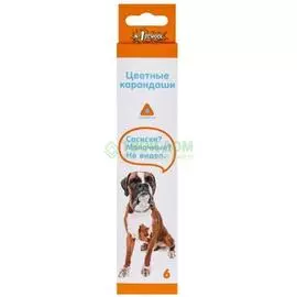 №1 School Magic Fairies Набор карандашей 277333