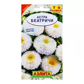 Аэлита Астра Беатричи