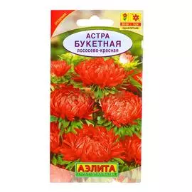 Аэлита Астра Букетная лососево-красная