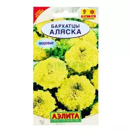 Аэлита Бархатцы Аляска