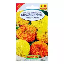 Аэлита Бархатцы Бархатный сезон