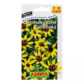 Аэлита Берландиера Шоколад