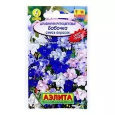 Аэлита Дельфиниум Бабочка