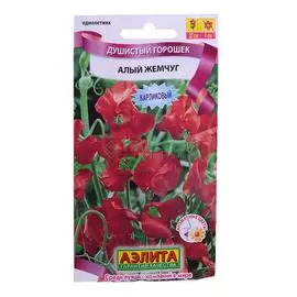 Аэлита Душистый горошек Алый жемчуг