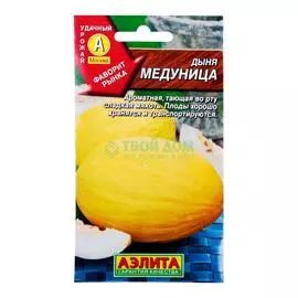 Аэлита Дыня Медуница