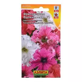 Аэлита Фриллитуния Вдохновение F1, смесь