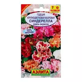 Аэлита Годеция Синдерелла