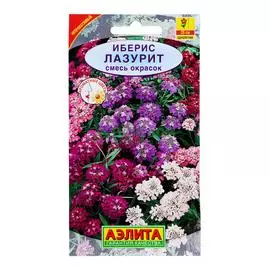 Аэлита Иберис Лазурит смесь окрасок