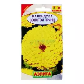 Аэлита Календула Золотой принц