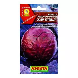 Аэлита Капуста Жар-Птица