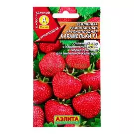 Аэлита Клубника Карамельки F1