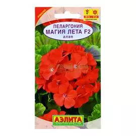 Аэлита Пеларгония Магия лета F2 Алая