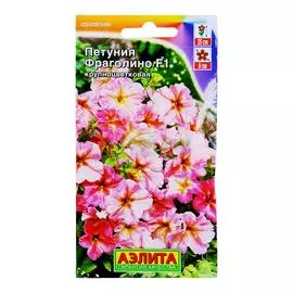 Аэлита Петуния Фраголино F1