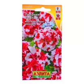 Аэлита Петуния Тафта