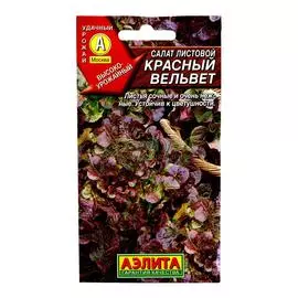 Аэлита Салат Красный вельвет